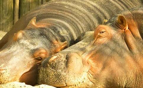 С���RVSС���m��С�W����