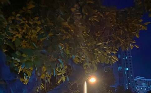 ��ҹ��С�W����