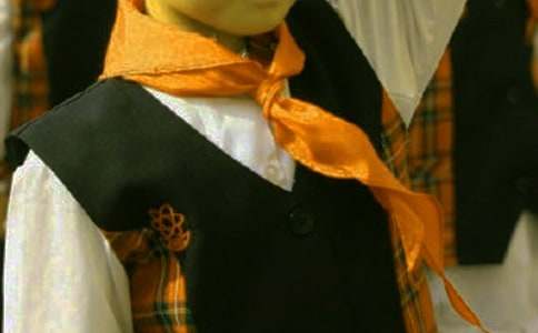 紅領巾見證我們的友誼優秀作文