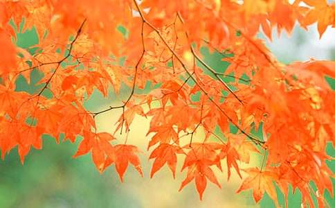 �P������t�~�ӵ�����