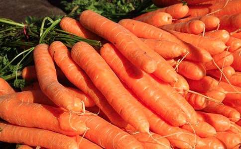 胡蘿卜作文范文