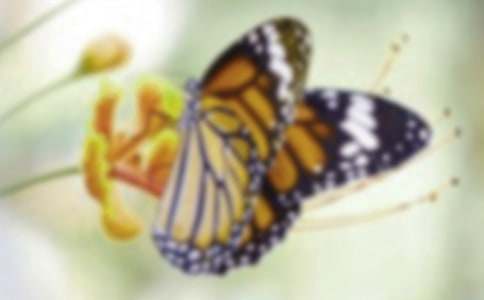 �Ұl�F��ëë�x׃������������