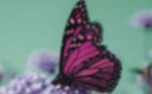 ��Ӽ���������x��500������