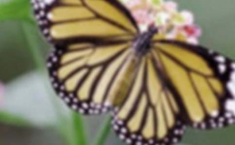 ��׃���˺���С�W����