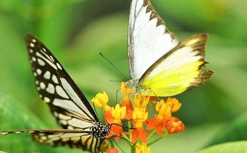 СΛρС�x�Ӻ�С�������ģ�ͨ��59ƪ��