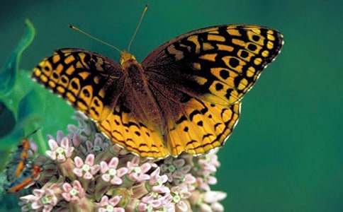 �^���������(���x15ƪ)