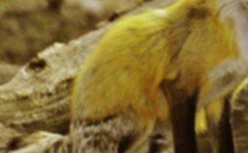 ���Ӻͺ�؂����