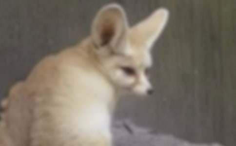 �P�ں�؂��Ԣ�Թ��¾��x