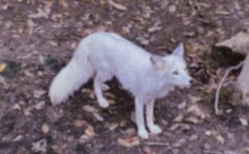 С�úͺ�؂���ģ����x23ƪ��