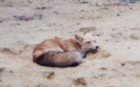 �Ƕ���؂�����꼉���ģ����x21ƪ��