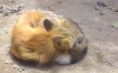 ��؂�ͺ��ӵĹ������ľ��x