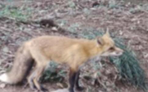 ͯԒ���º�؂�ͺ���