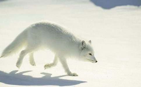 ���꼉���D���ģ�ĸ�u�ͺ�؂_600��