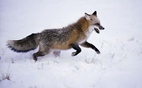 ���f�ͺ�؂�m�����ġ��]��