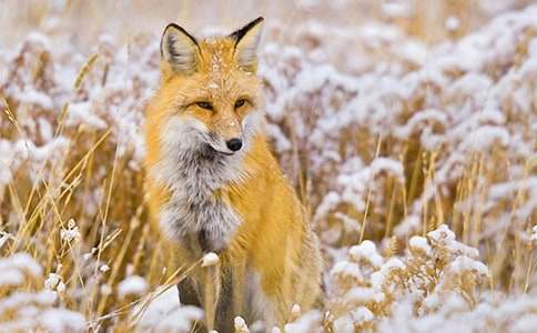 ����؂�͞��f��������10ƪ