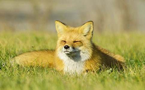 ��؂�ͺ��ӵĹ������ģ����x16ƪ��