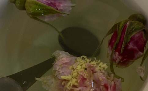 難忘那一壺飄香的菊花茶作文500字