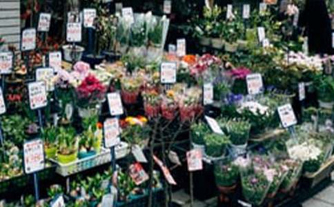 鮮花店的對聯