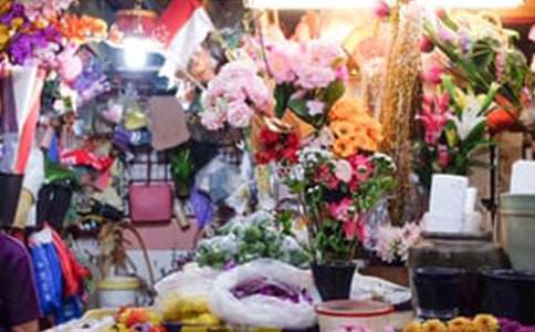 ��������600��8ƪ