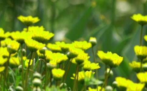 �ɹ��Ǵ����_���Ļ������ģ�ͨ��21ƪ��