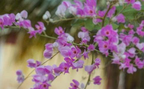 ӛ���еĻ����_ʼ�`������