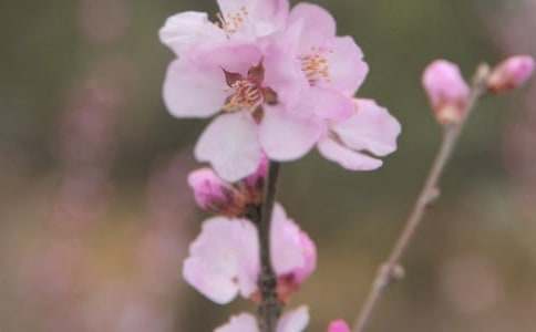 �_��ӛ����Ļ������ģ�ͨ��32ƪ��