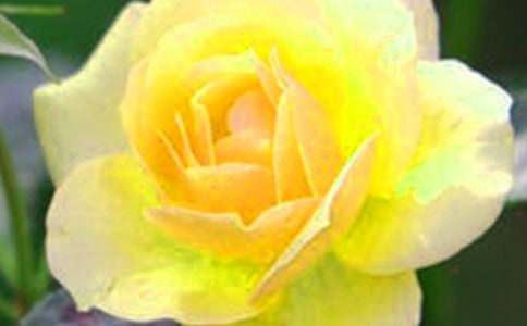 ӛ����̎�Ļ�������8ƪ