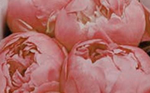 �_��ӛ���еĻ������ģ����x31ƪ��