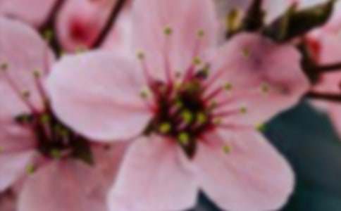 �_��ӛ����̎�Ļ���-����