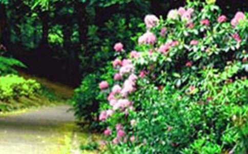 �󻨈@����600�֣�ͨ��70ƪ��