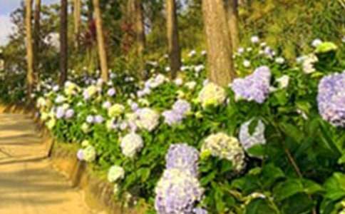 һ�꼉С�������ģ���С��Ļ��@