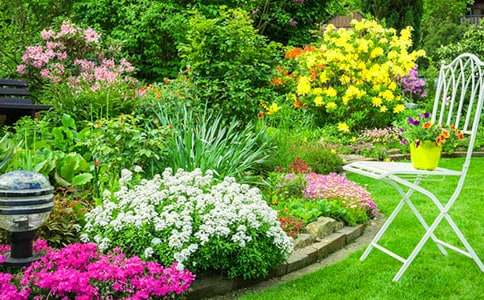 �󻨈@����600�֣����x37ƪ��