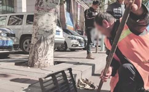 �h�l���˒�ѩ����ģ��