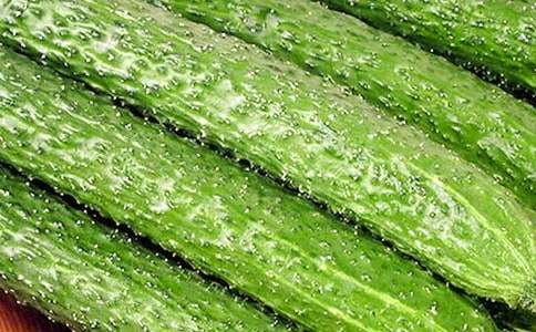 黃瓜作文600字合集6篇