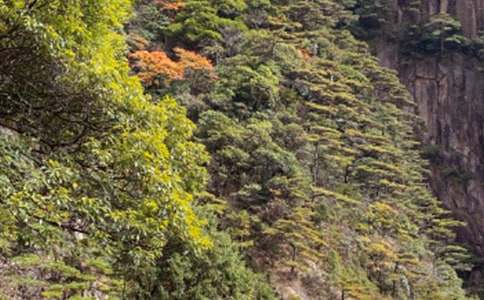 �˽̰�С�W���꼉�σԡ��Sɽ��ʯ���̌W�OӋ��ͨ��12ƪ��