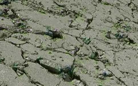 商品混凝土購銷的合同