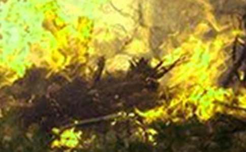 �h�x���������������\��9ƪ