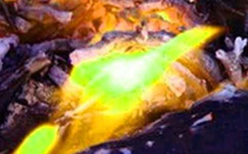 �h�x��������������6ƪ