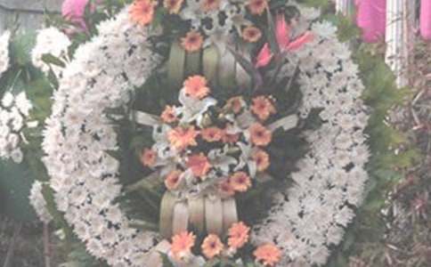 祭奠曾祖父作文