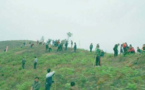 ��������600�ֺϼ�7ƪ