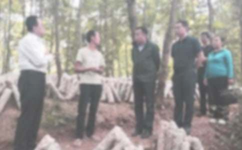 �����`�o�zӑ��