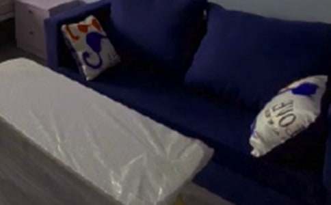 未來的家具小學生作文(精選22篇)