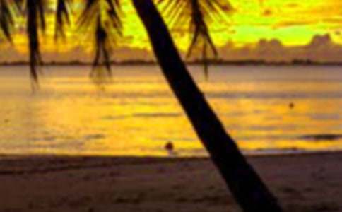 �������ҌW���˪�������800��