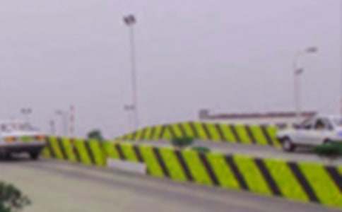 南湖駕校學車作文