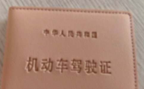 ���{��������`�ĵ��w��