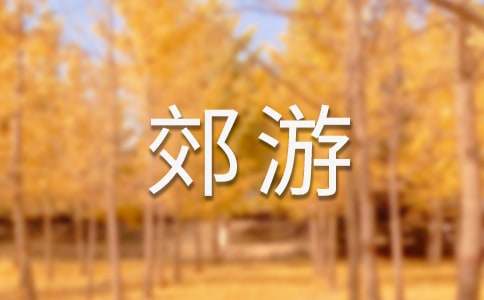 郊游的作文200字3篇