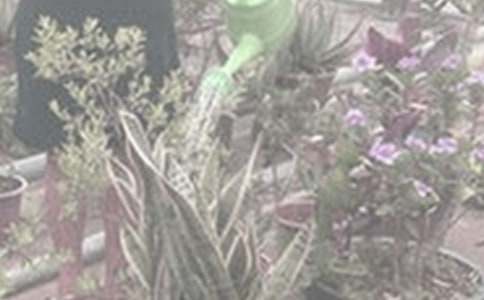 �������ĵ�������