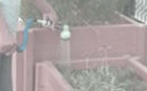 澆花匠的道德作文【熱門】