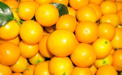 金桔作文400字7篇