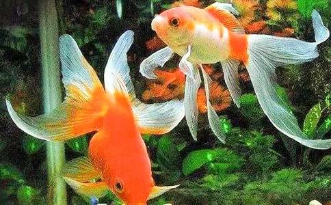 ���~ͯԒ���ĺϼ���ƪ